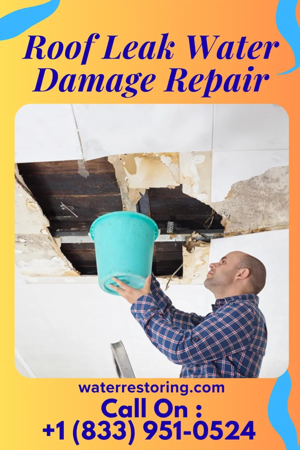 Roof Leak Water Damage Repair in Citrus City, TX